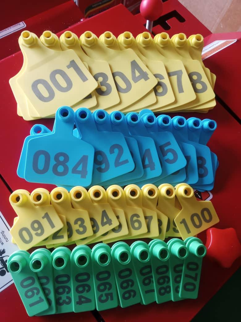 WhatsApp Image 2025-11-12 at 4.40.56 PM